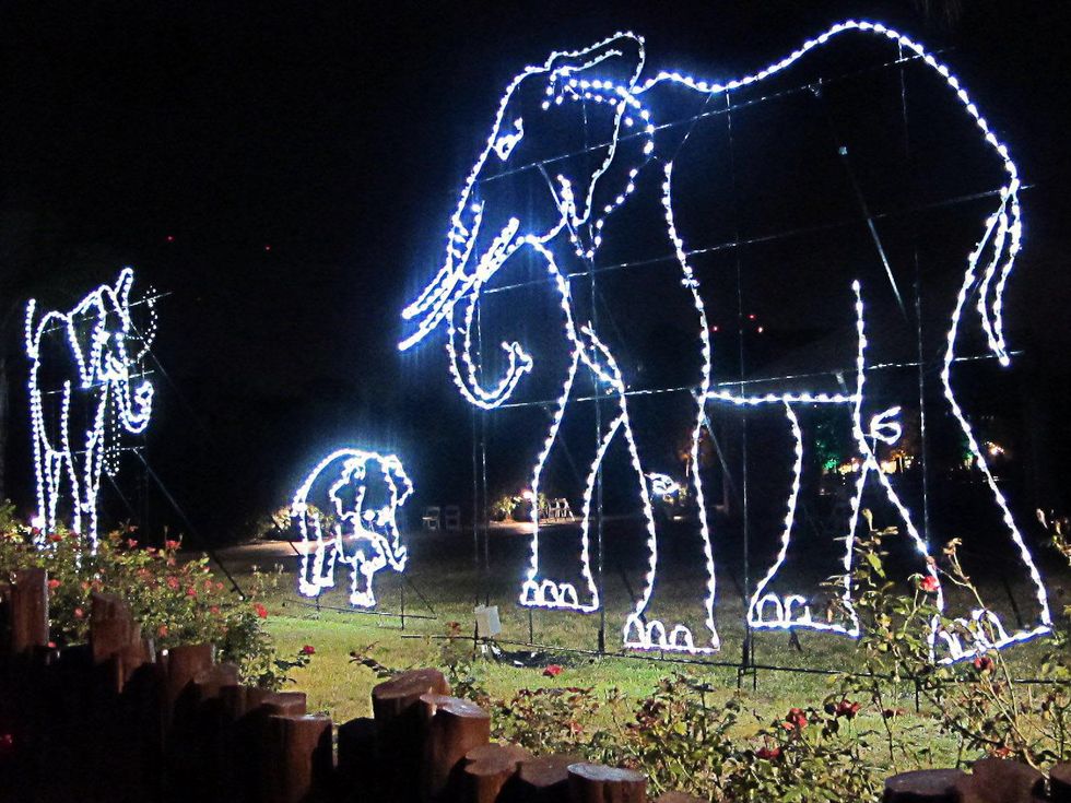 Houston Zoo holiday lights, November 2012