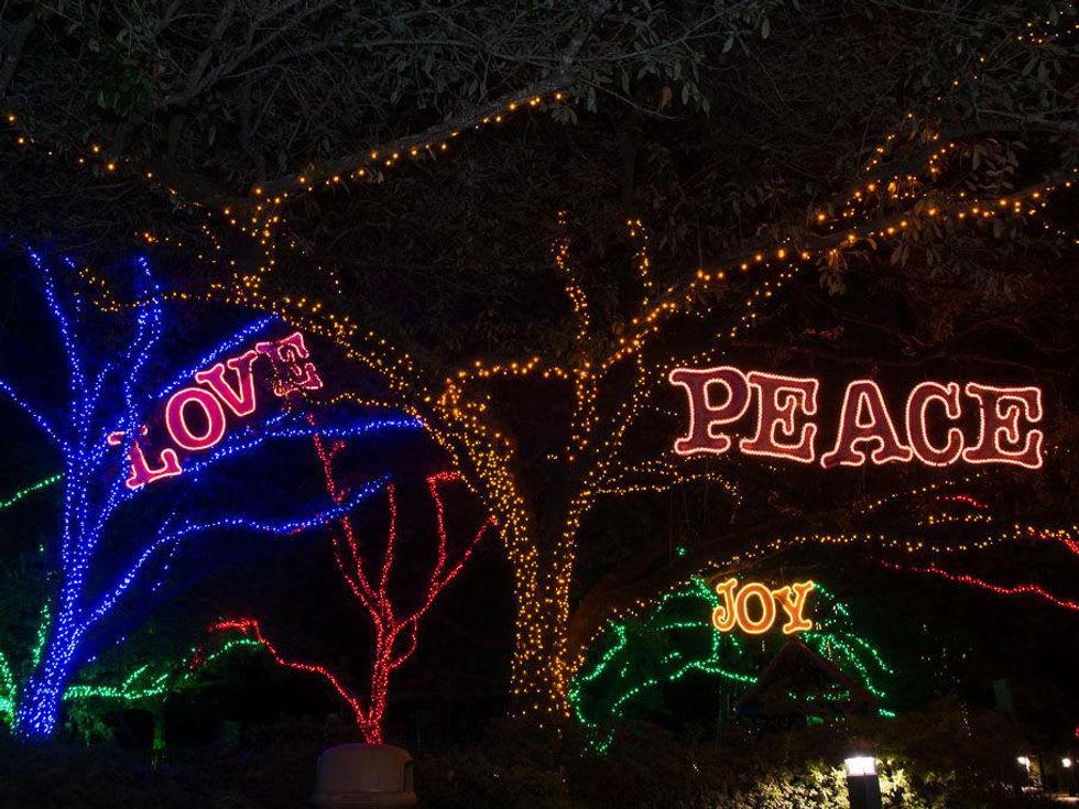 Houston Zoo holiday lights, November 2012
