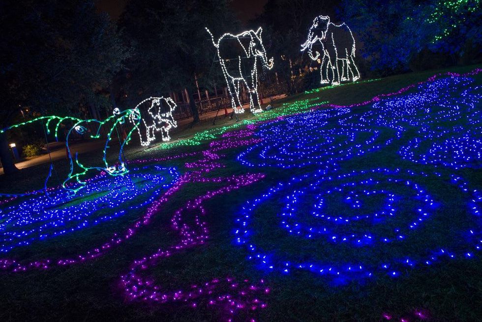 Houston Zoo lights November 2014 animals