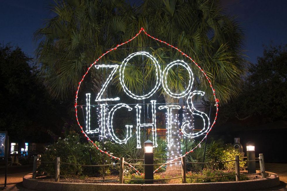 Houston Zoo lights November 2014