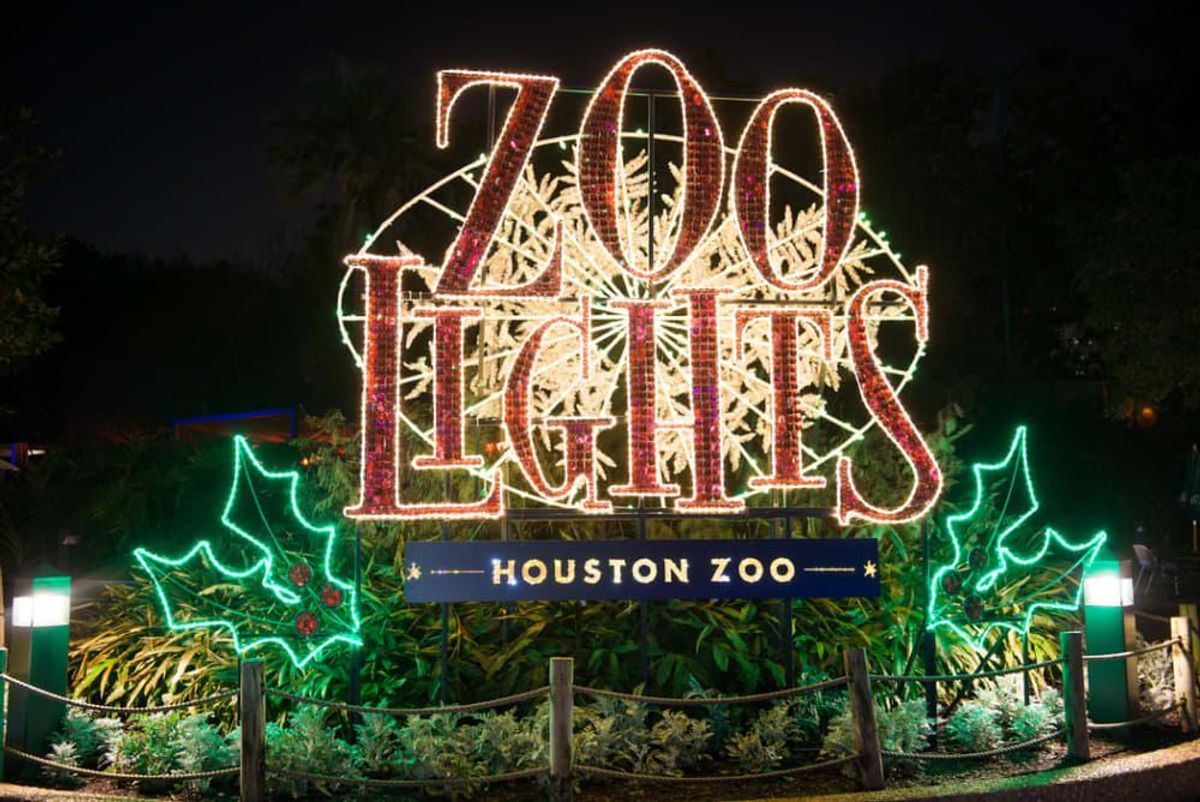 TXU Energy Presents Zoo Lights is back for its seventh year