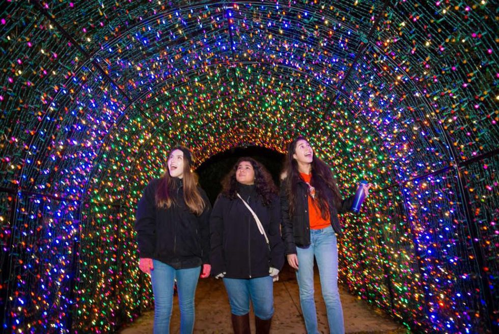 Houston Zoo Lights