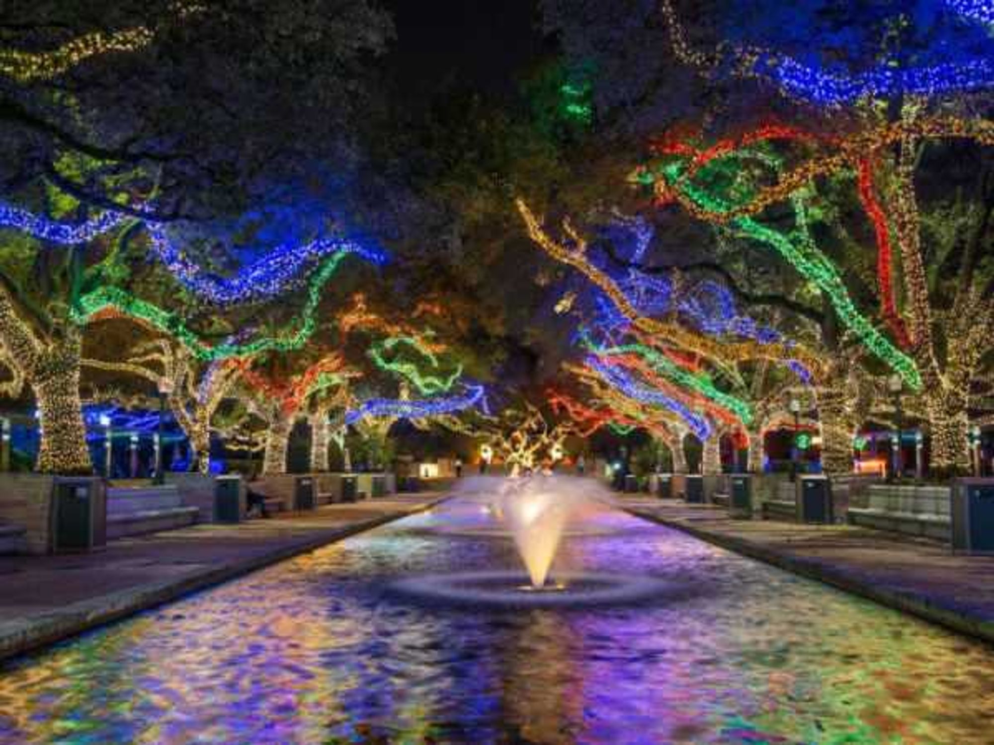 Houston Zoo Lights