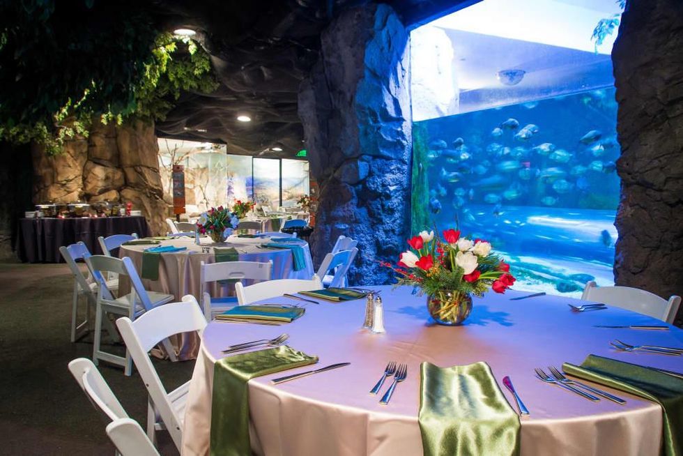First ever opportunity to dine gourmet style in underthesea setting