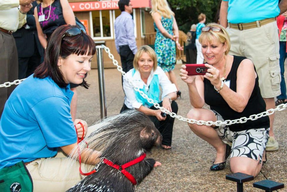 Houston Zoo, Under Sea Dinner, Feb. 2016
