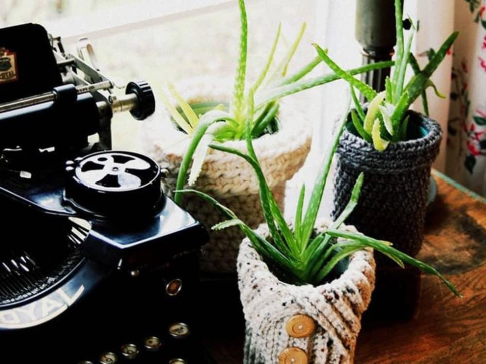 Houzz, Favorite Succulents to Grow Indoors, February 2018