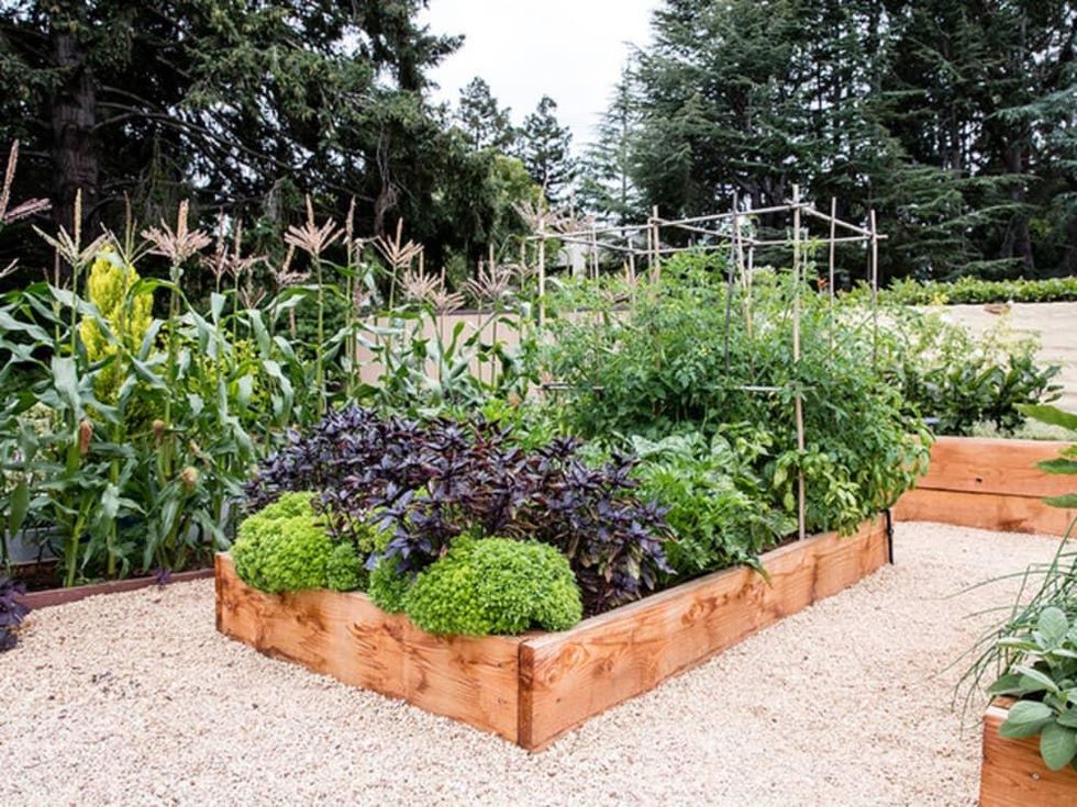 Houzz garden design 1