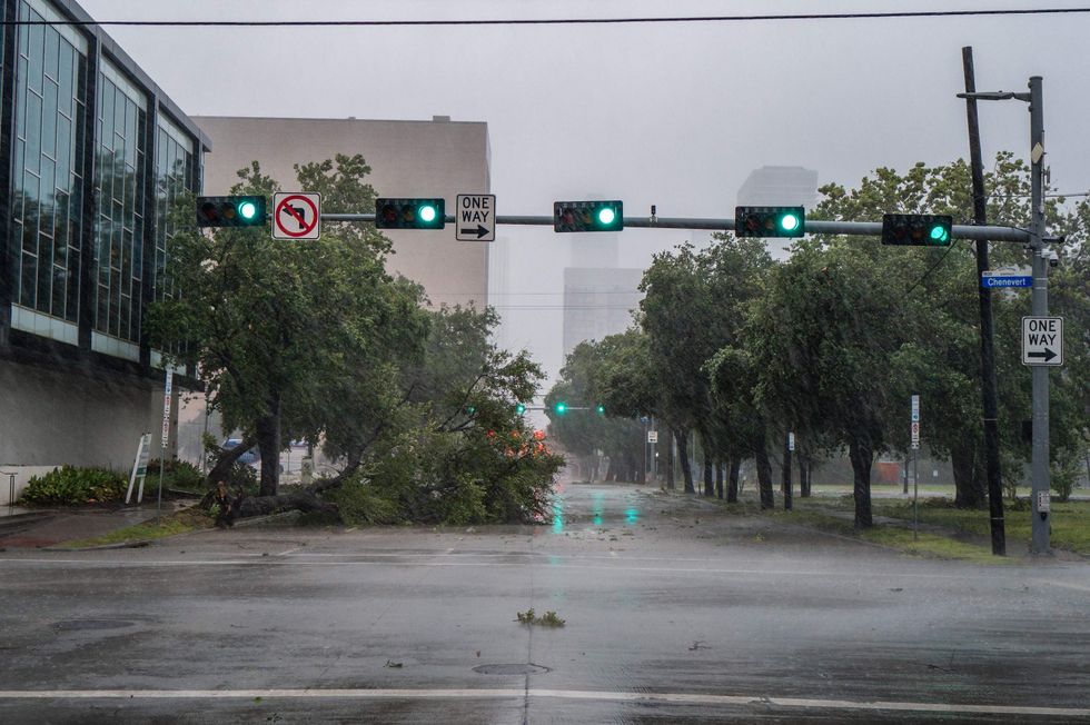 Hurricane Beryl tree down