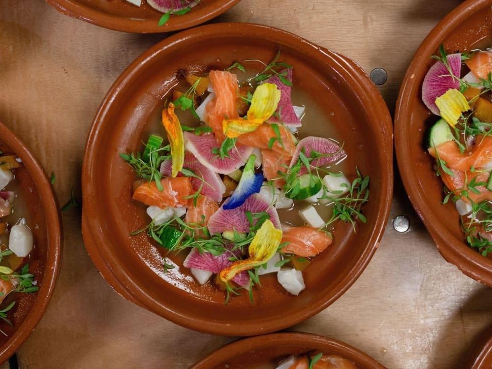 I'll Have What She's Having IHWSH fall pop-up salmon belly Jillian Bartolome