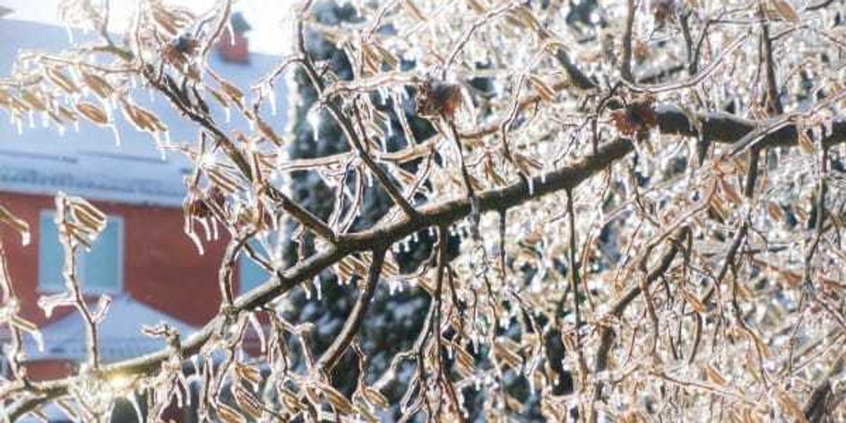 Arctic air will bring hard freeze to Houston this weekend