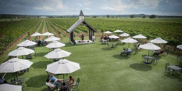 Grape stomping, drinking, and savoring are on tap during a Fredericksburg getaway - Vimarsana News