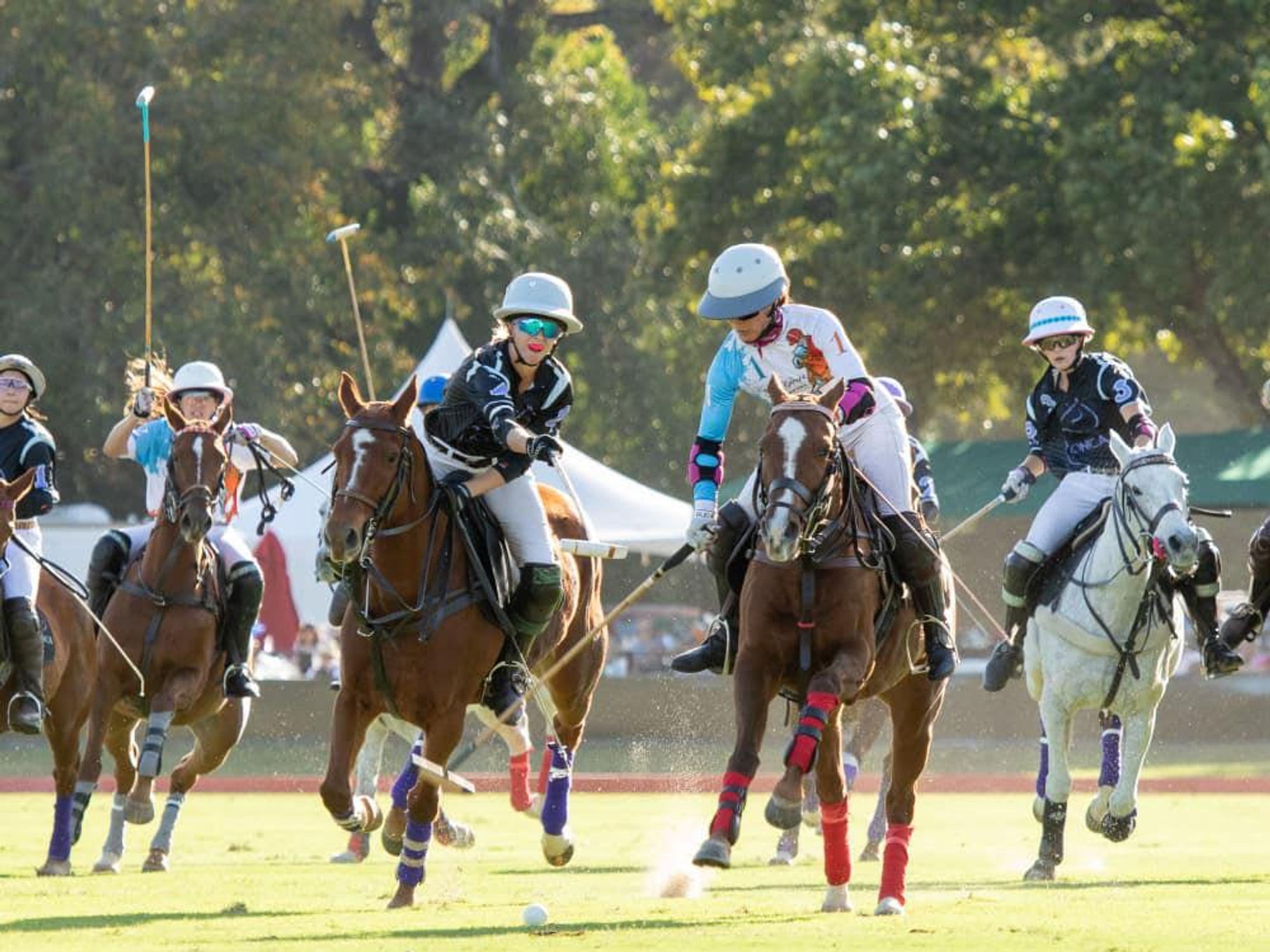 Houston Polo Club presents 2021 Houston Women's Polo Championship