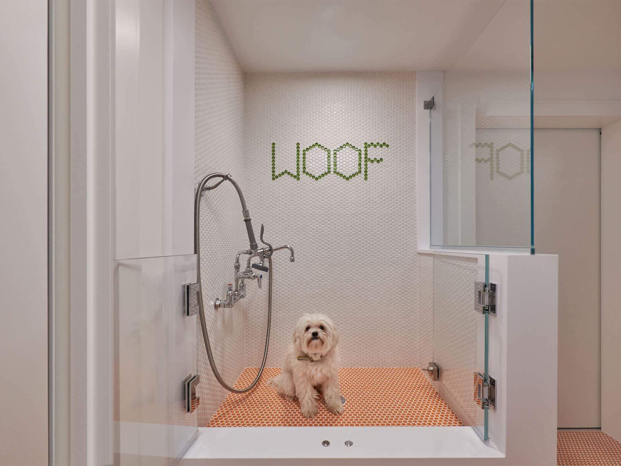 From feeding stations to floors, pet-friendly home upgrades are trendy