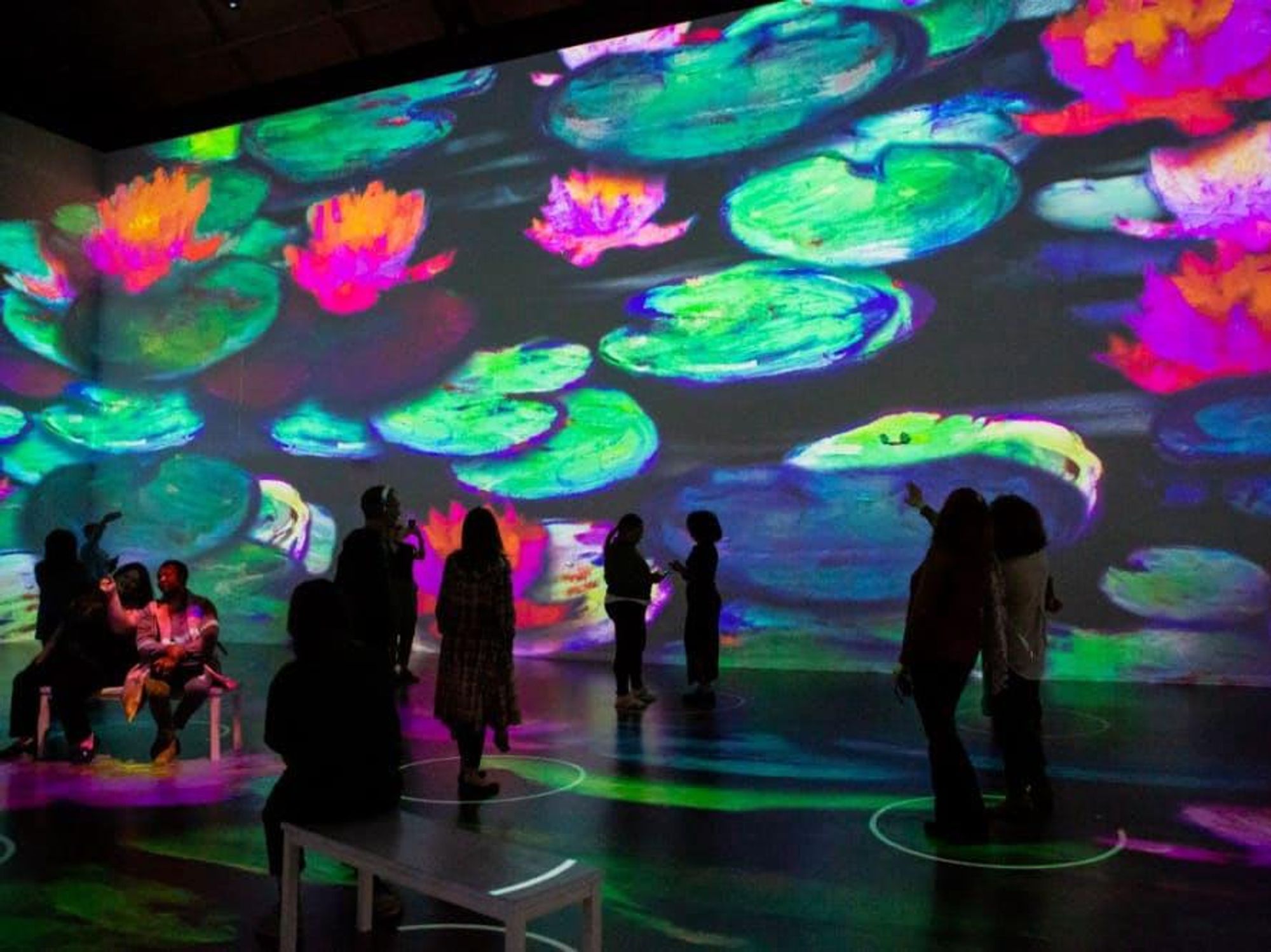 Immersive Monet Houston