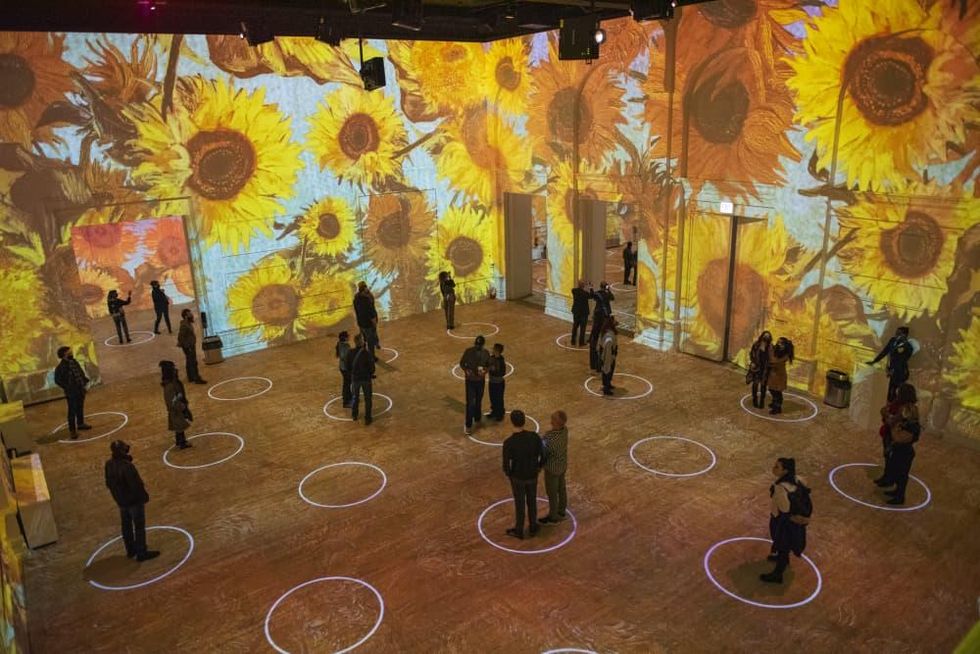 Immersive Van Gogh Exhibit Houston