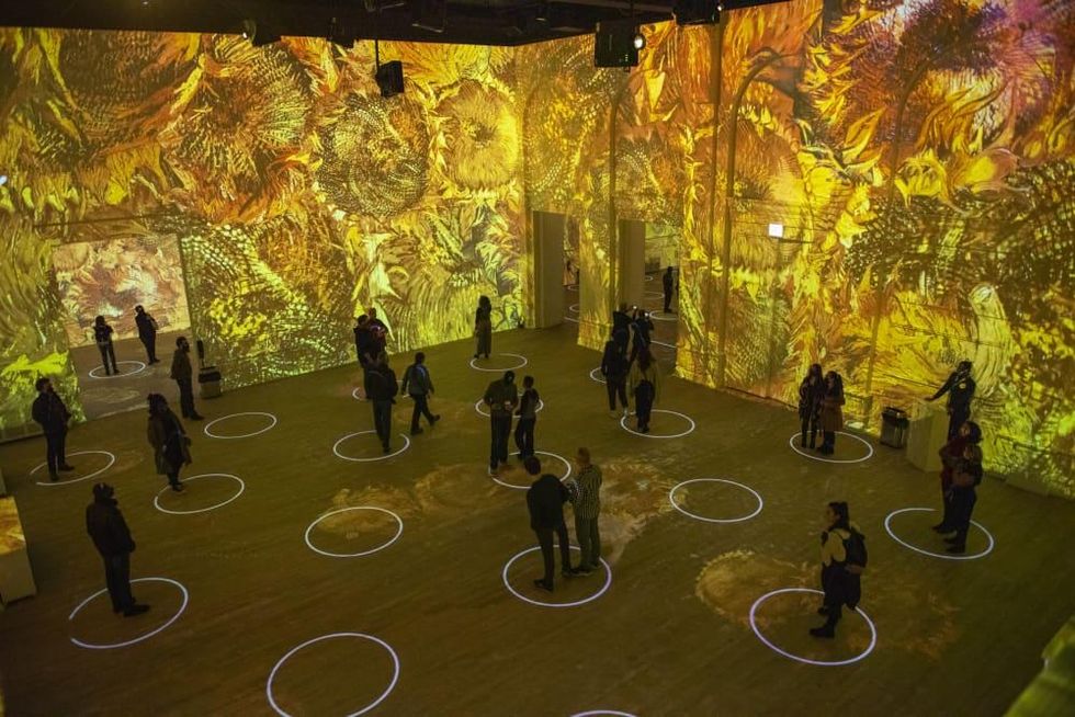 Immersive Van Gogh Exhibit Houston