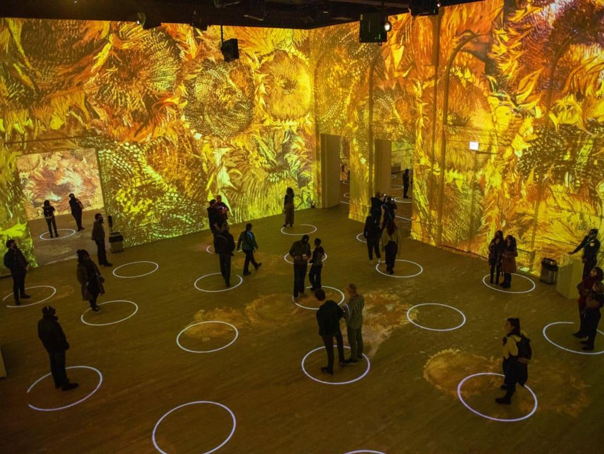Immersive Van Gogh