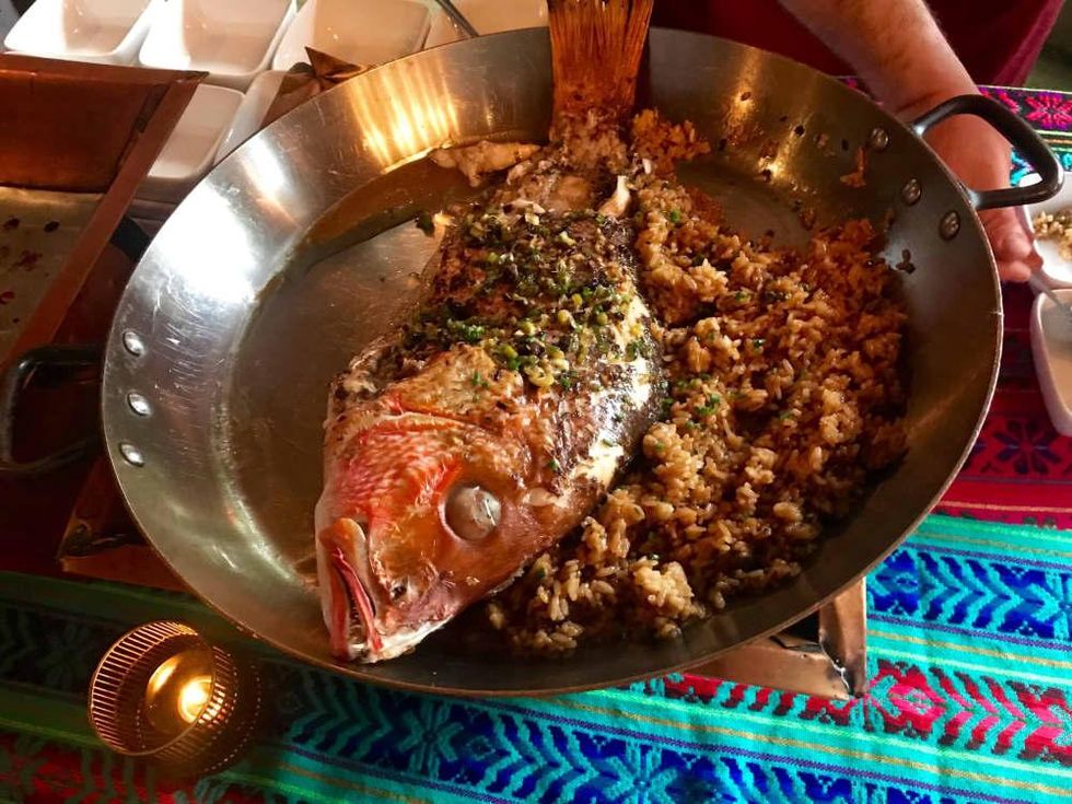 International Smoke pop-up snapper