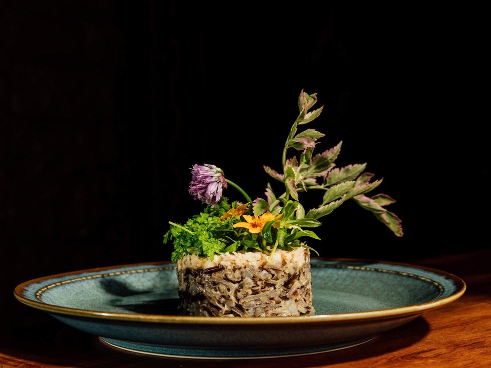 Ishtia Trout and Rice