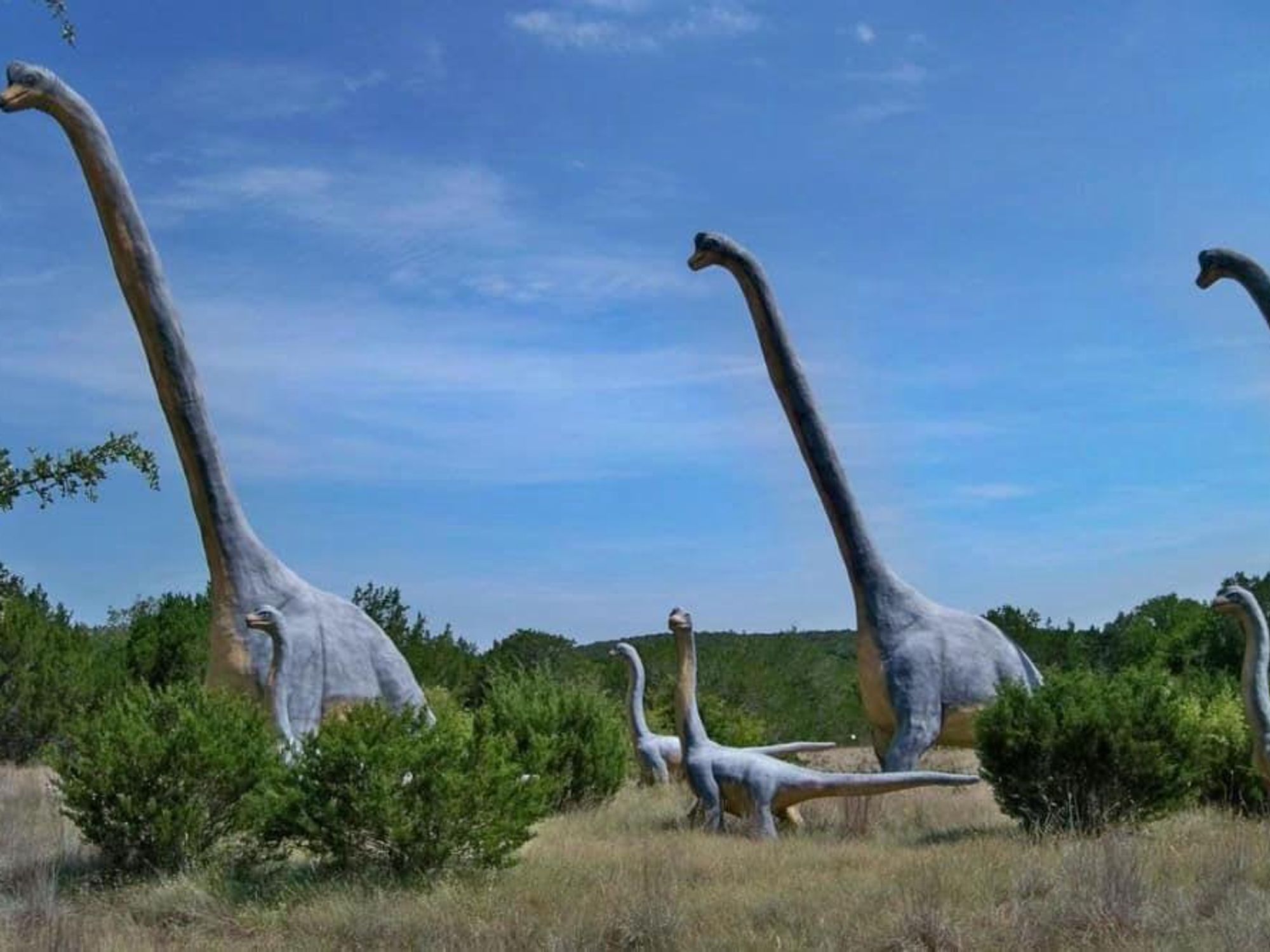 It's a prehistoric playground at Dinosaur World Texas with hundreds of life-sized dinos.