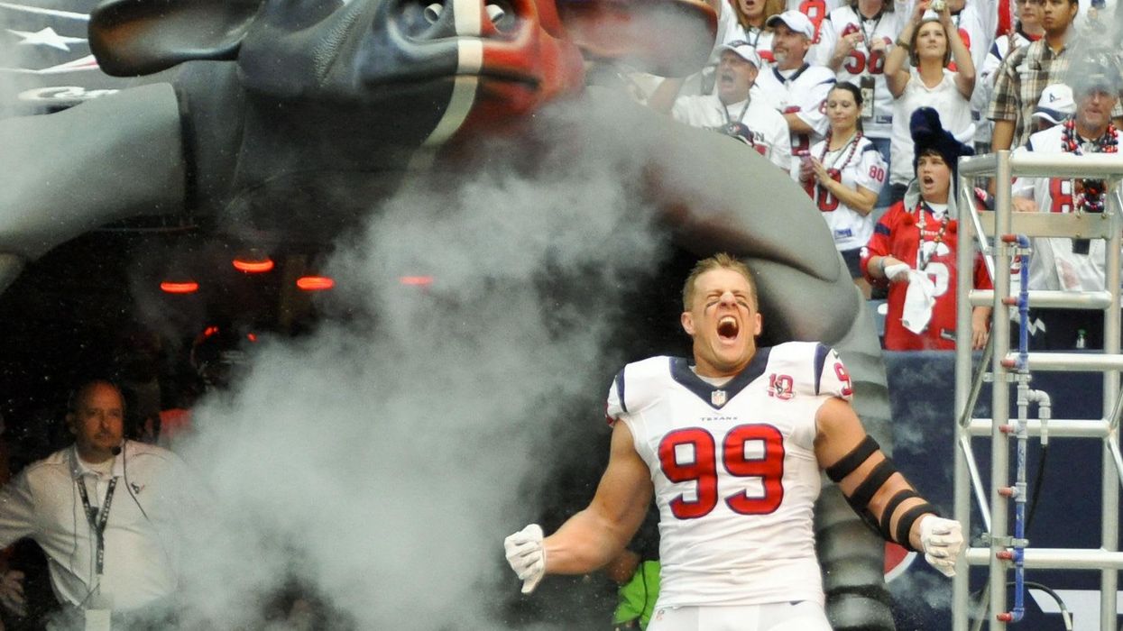J.J. Watt Texans Bull