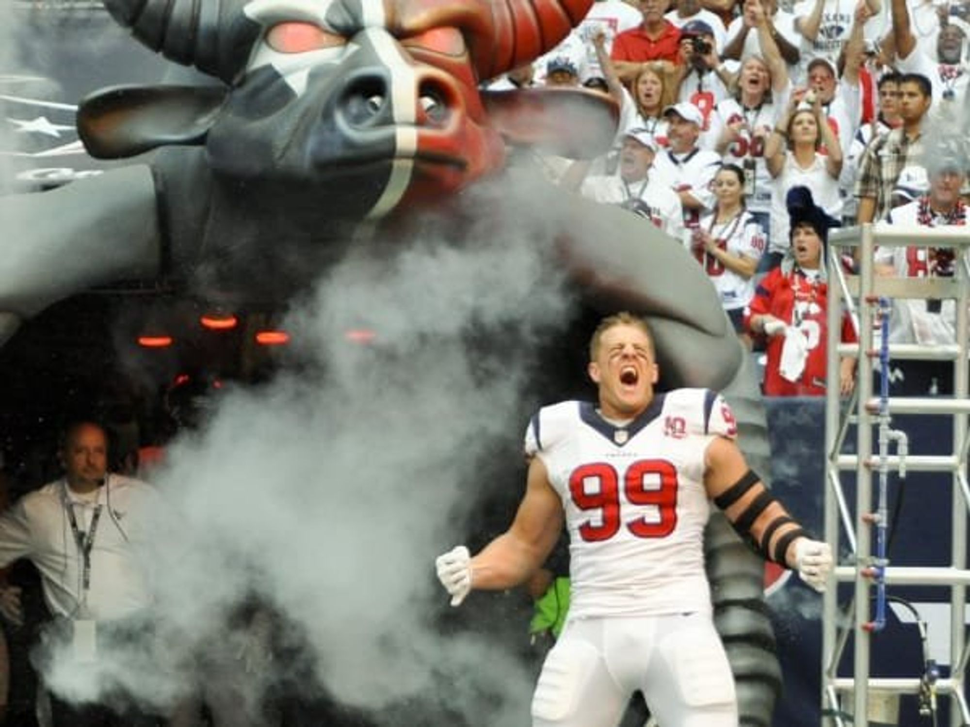 J.J. Watt Texans Bull