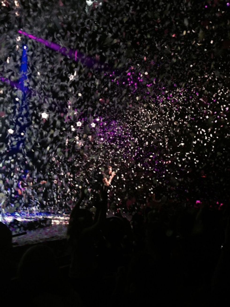 Jane Howze Cold Play concert in New York May 2014 singer Chris Martin