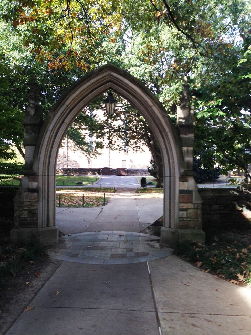 Jane Howze Homecoming October 2013 arch at Southwestern University Memphis