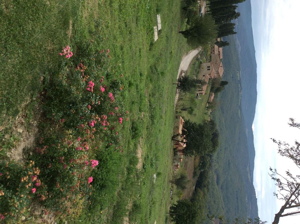 Jane Howze Italy trip Tuscany September 2014 Tuscan hillside