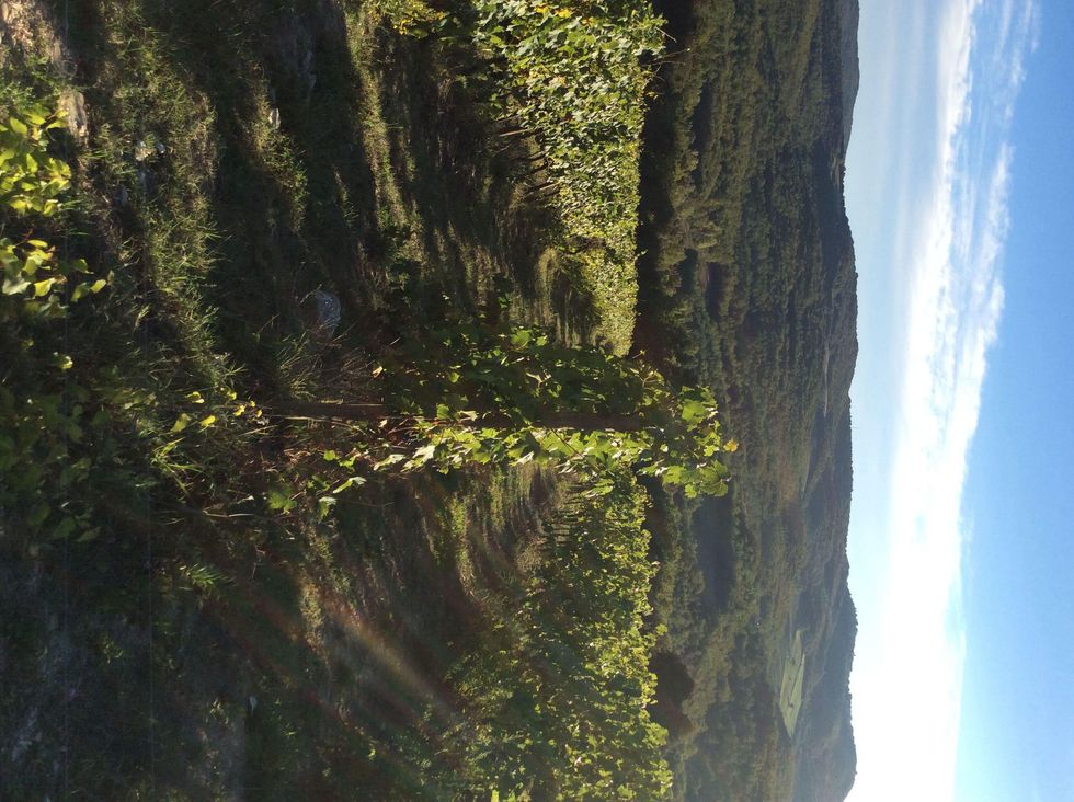 Jane Howze Italy trip Tuscany September 2014 Tuscany vineyards