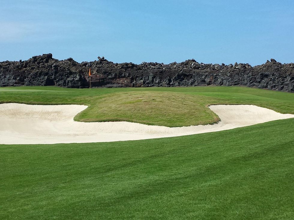 Jane Howze Postcard from the Big Island Hawaii December 2013 Black lava contrasts with verdant greens