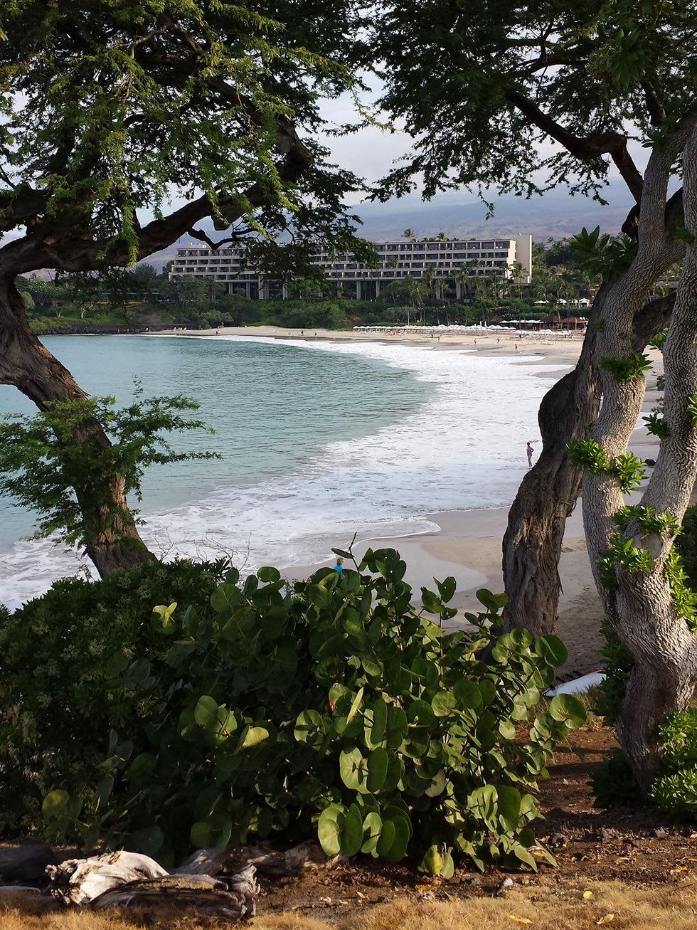 Jane Howze Postcard from the Big Island Hawaii December 2013 Mauna Kea Beach Hotel