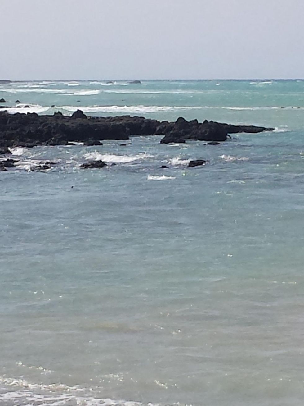 Jane Howze Postcard from the Big Island Hawaii December 2013 ocean