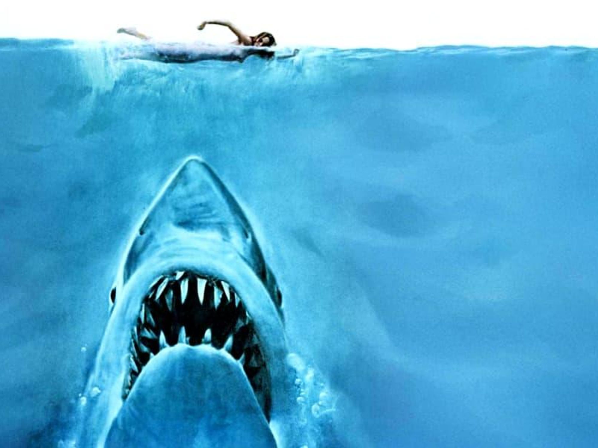 Jaws movie promo pic Great White Shark swimming girl