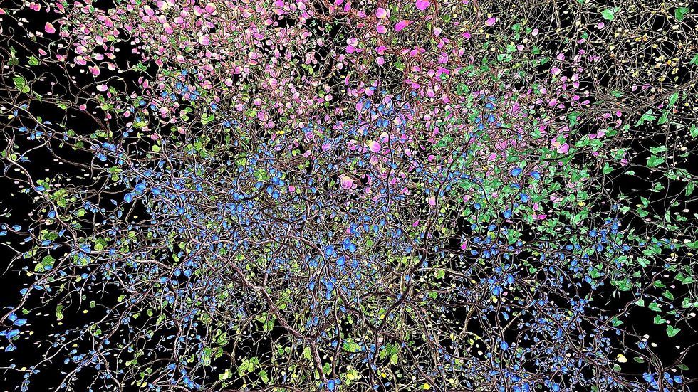 Jennifer Steinkamp Orbit 11 MFAH Museum of Fine Arts Houston