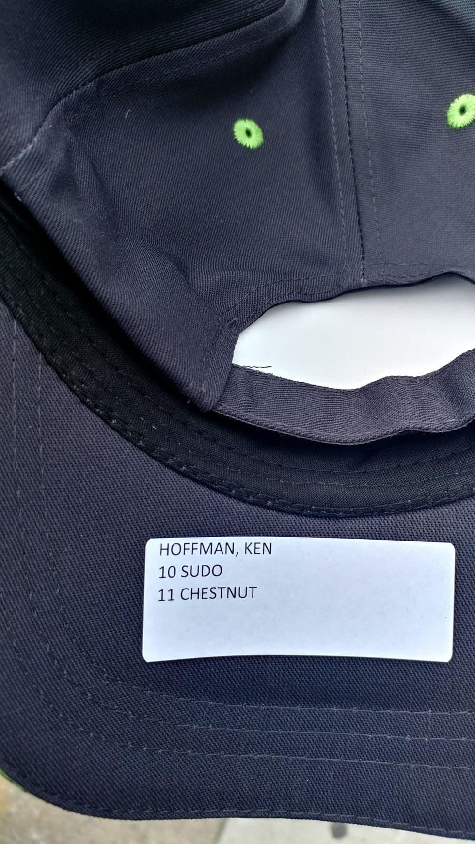 Joey Chestnut Ken Hoffman judges hat
