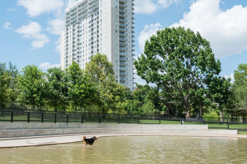 Johnny Steele Dog Park Allen Parkway dog in water