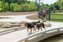 Downtown Houston Pet Owners Benefit from New Dog Park