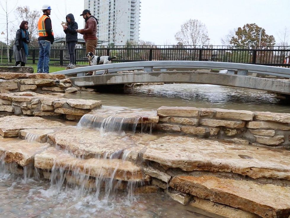 Johnny Steele Dog Park Jan 2015