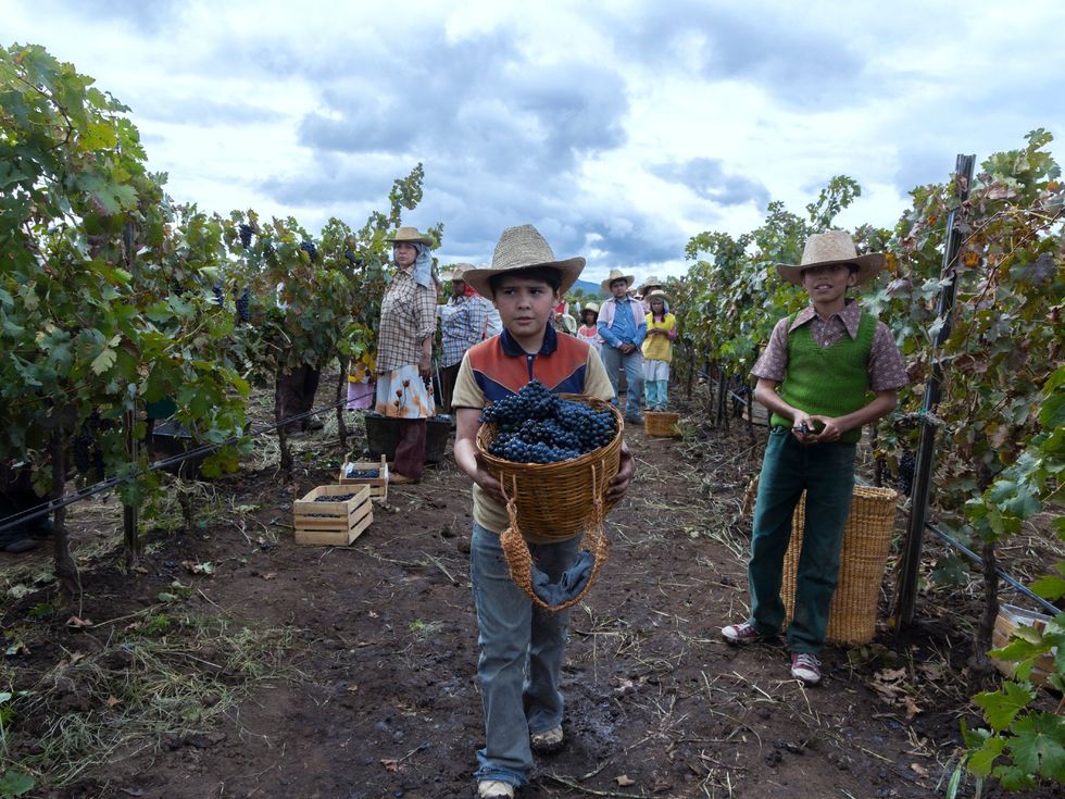 Juan Pablo Monterrubio in A Million Miles Away