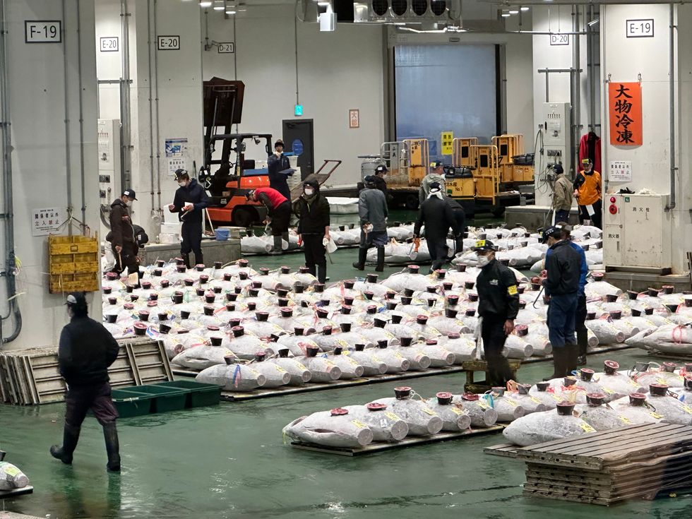 Katami research trip