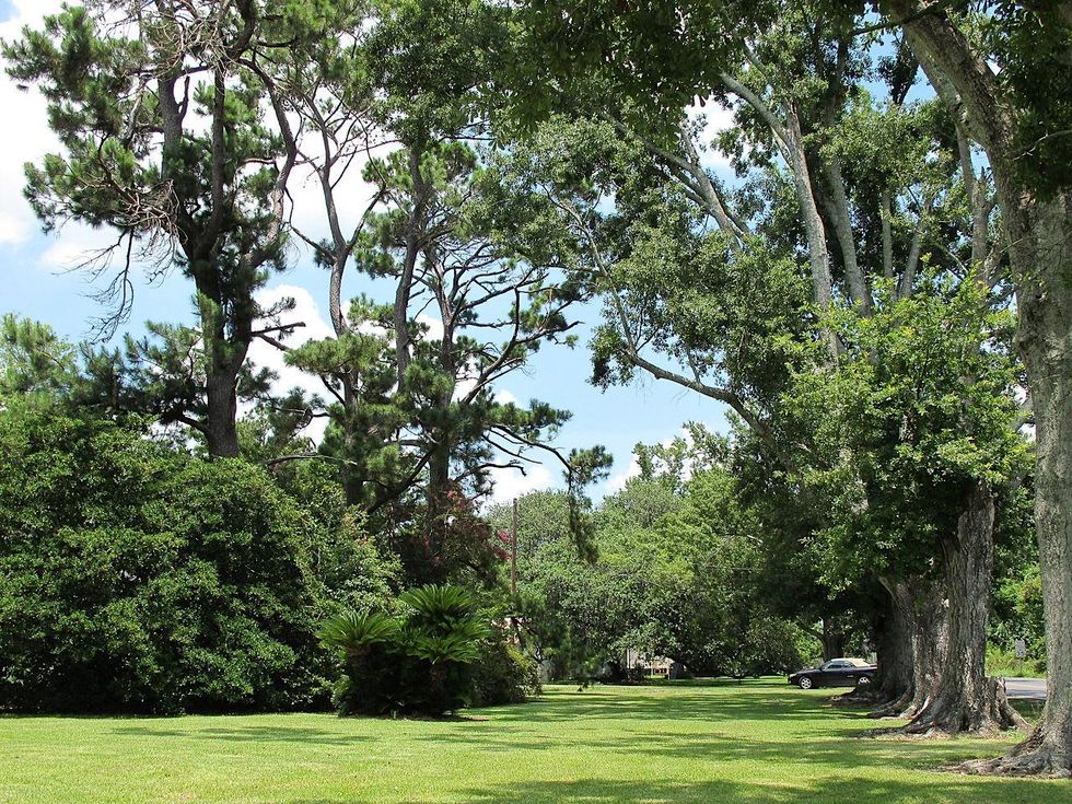 Katie, car, Blinks in Bourg, La., Janaury 2013