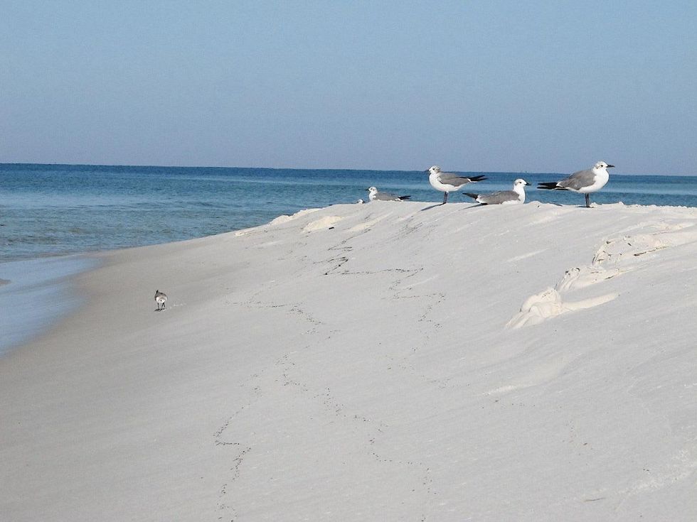 Katie Labor Day Weekend at Seaside September 2013 Here, it\u2019s all about ocean life, present time. . . the August sun.