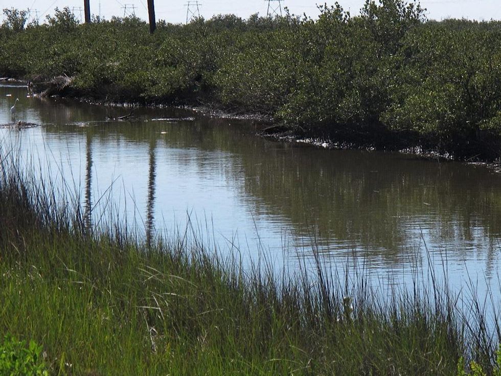 Katie Louisiana Revisited part 6 May 2013 Canal along LA-1 to Grand Isle