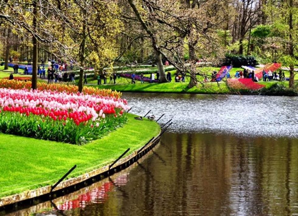 Keukenhof Gardens