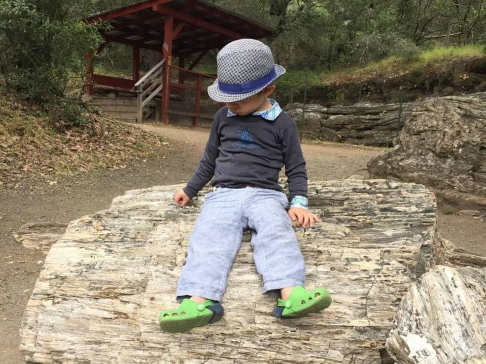 Kid in Petrified Forest