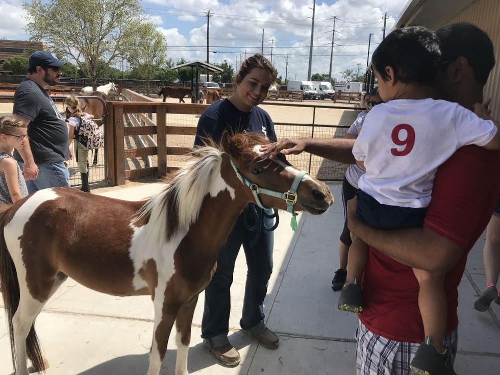 Kid petting horse