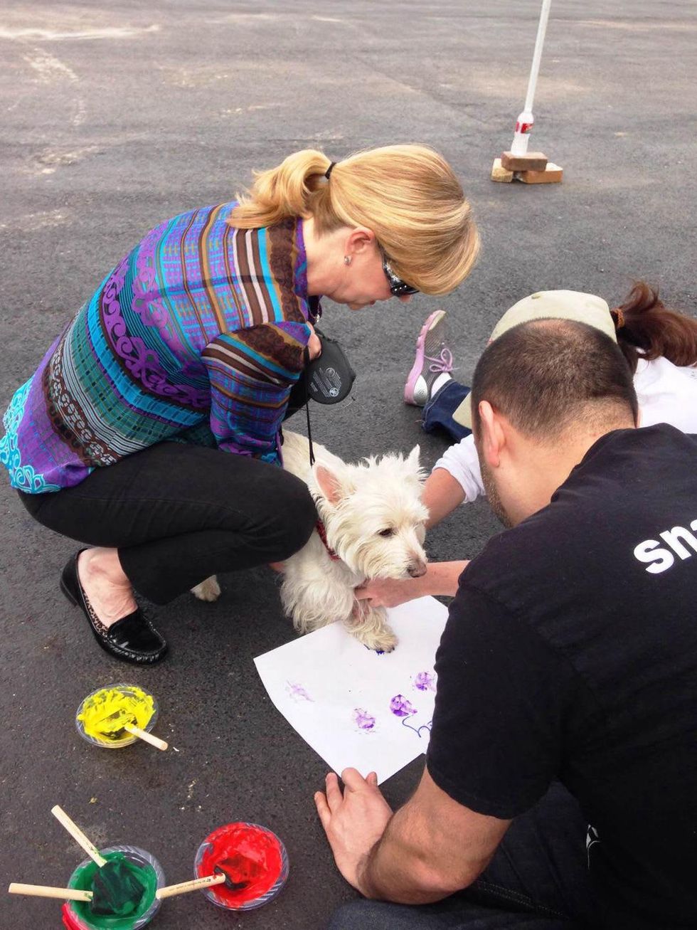 Dogs paint pictures with their paws — and no one can get enough of the
