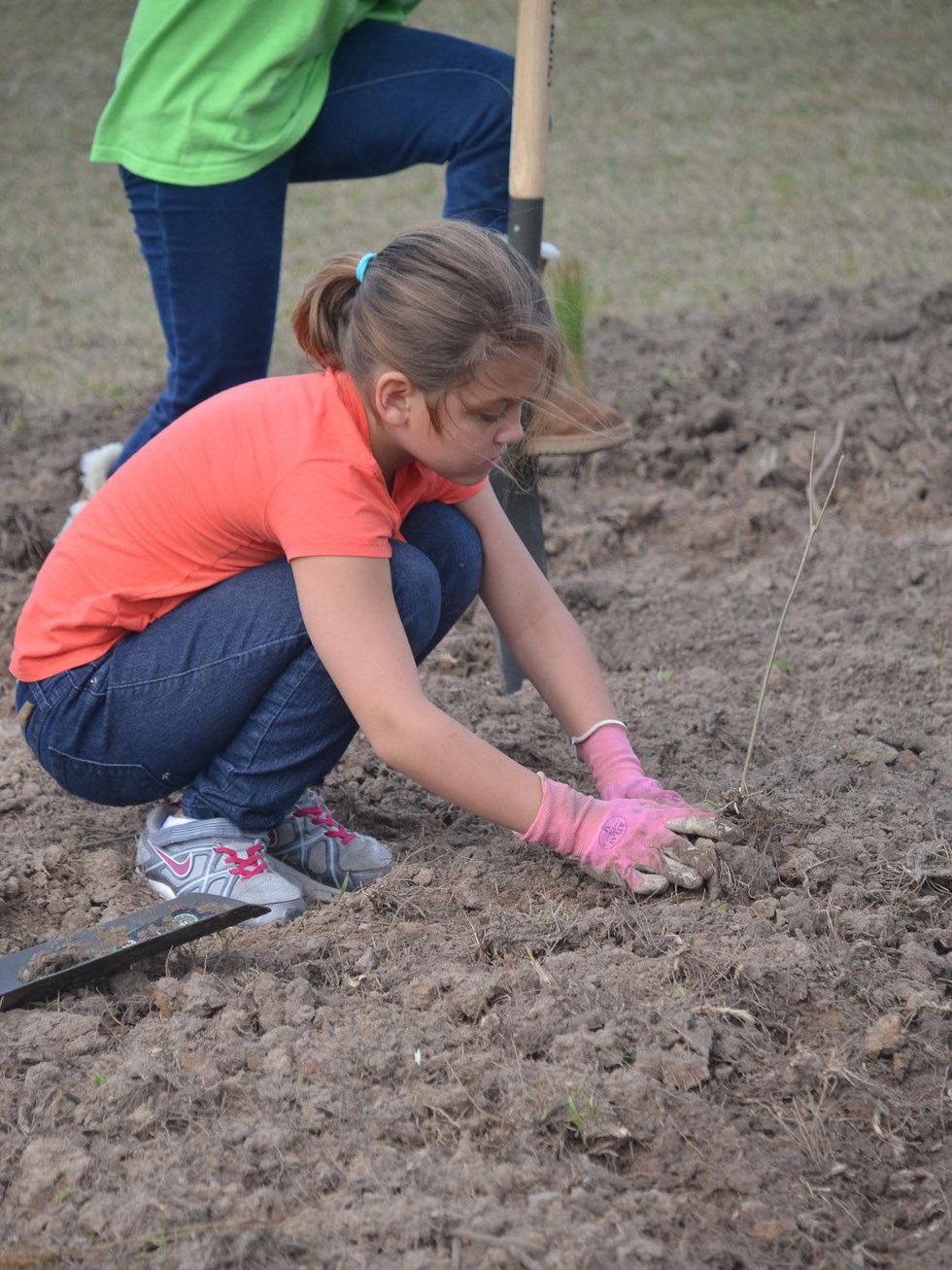 Kinkaid Branches Out, January 2013, gardening