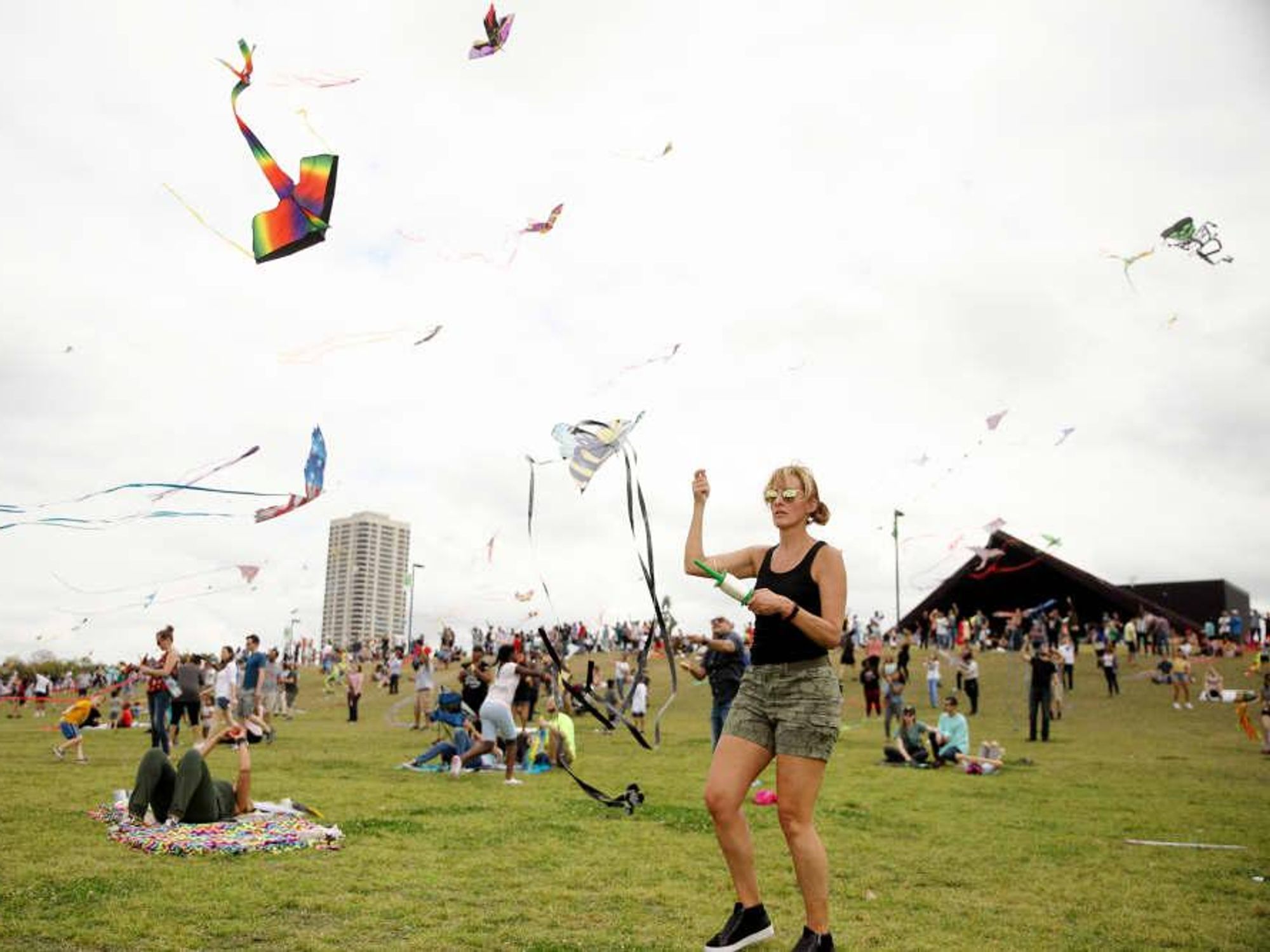 Kite Festival Hermann Park